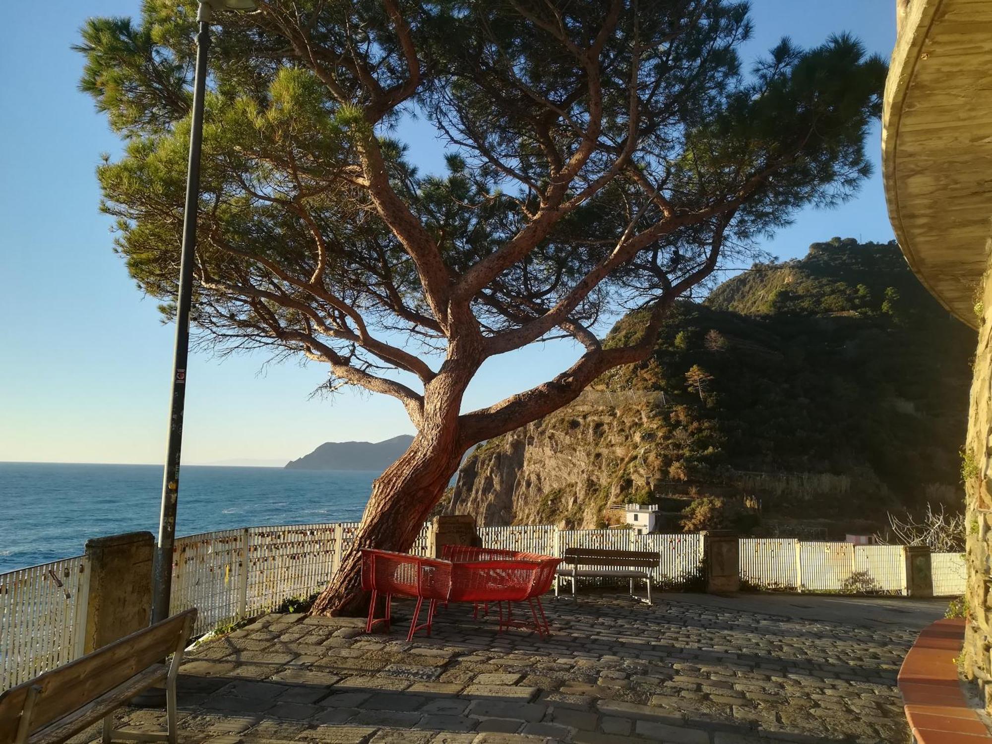 The Way Of Love - La Via Dell'Amore Riomaggiore Eksteriør bilde